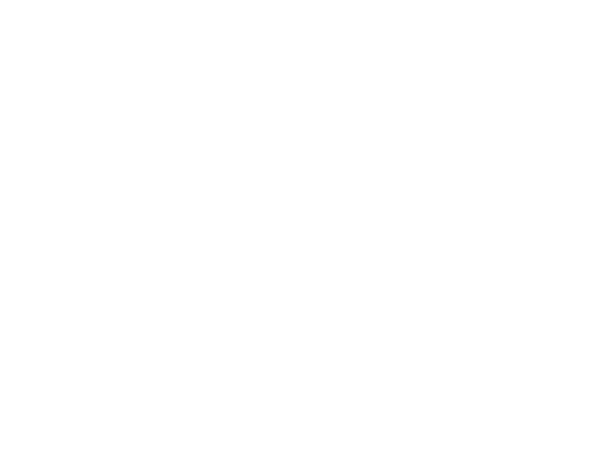 The Overnight Website Challenge logo in black.